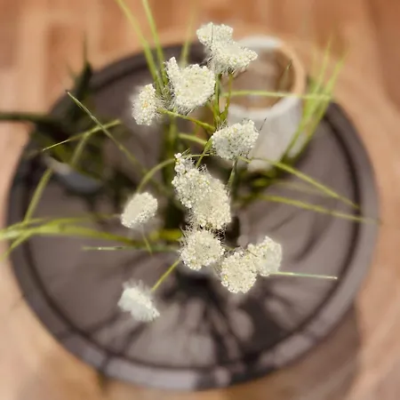 Casa Tempora 게스트하우스 *