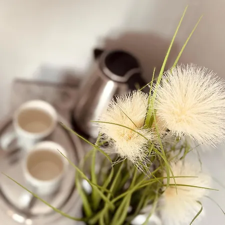 게스트하우스 Casa Tempora